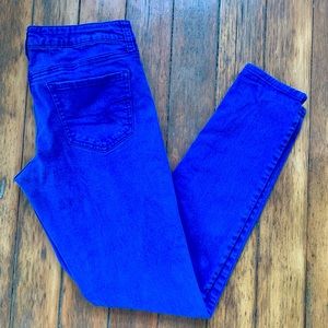 6R American Eagle Cobalt Pants